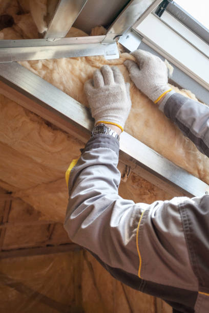 Best Cellulose Insulation  in Tracy, CA
