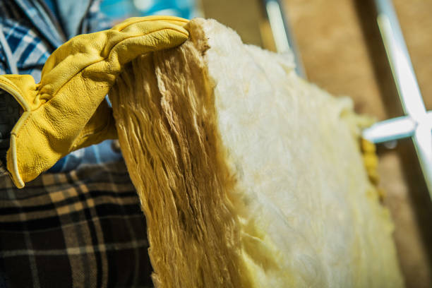 Best Insulation Contractors for Homes  in Tracy, CA